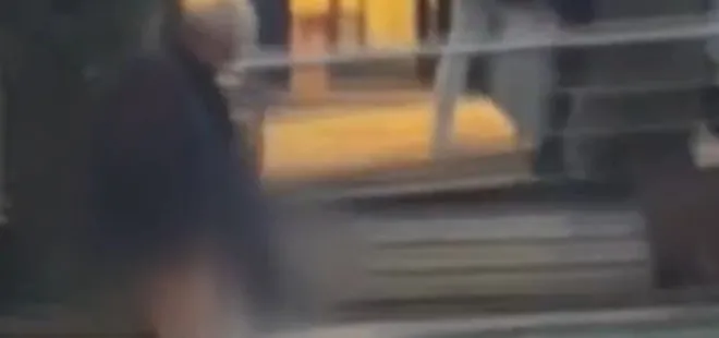 Bartın'da şoke eden anlar! Süs havuzuna tuvaletini yaptı