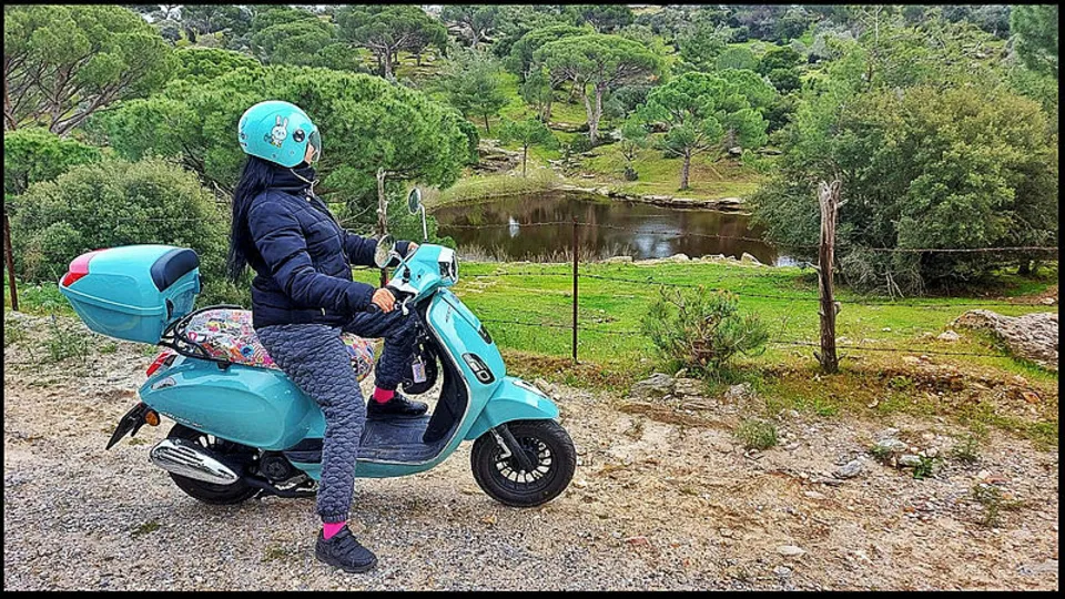 Kedinin canını kurtarmak isterken cezadan kaçamadı! Aydın'da bir garip olay