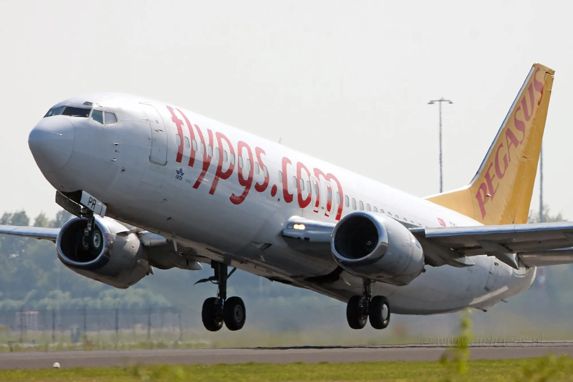 Pegasus uçağına kuş çarptı: Havalimanına acil iniş yaptı