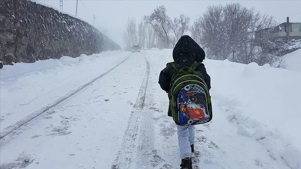 Bugün okullar tatil mi? 19 Ocak Çarşamba hangi illerde okullar tatil edildi? İşte kar tatili olan iller - 8