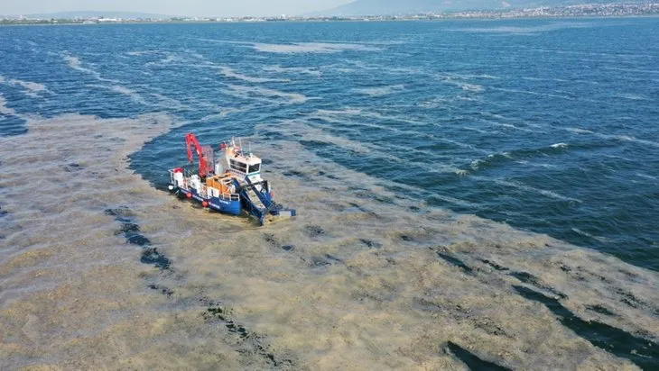 Son dakika | İzmit Körfezi eski haline dönüyor! 110 ton salya temizlendi