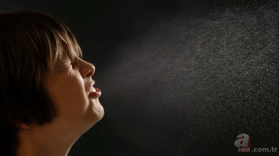 Bir anda gelen hapşırık ne anlama geliyor? Bağışıklık sisteminin gizli savunması 7