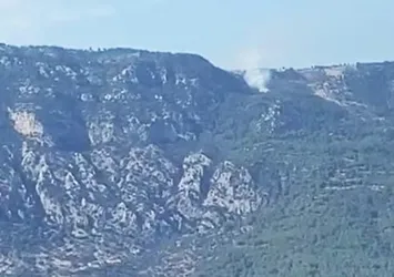 Son dakika: Gökova Körfezinde orman yangını çıktı