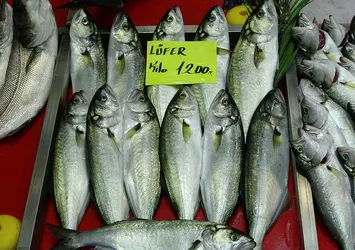 Denizlerin prensi 'lüfer' 1200 liradan tezgahtaki yerini aldı