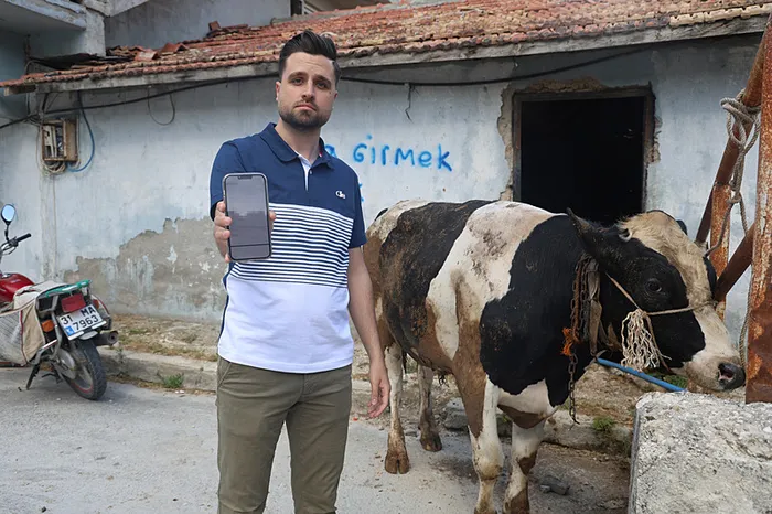 kurban-dolandiricilarina-dikkat-200-bin-tlsi-buhar-oldu-1747558946540.jpeg Kurban dolandırıcılarına dikkat (İHA)