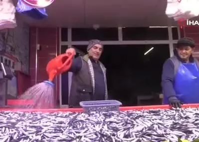 Hamsinin kilosu 150 liraya düştü