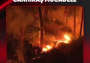 ALEVLERLE CANHIRAŞ MÜCADELE