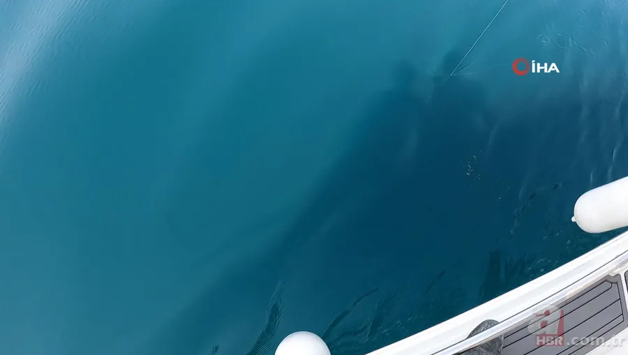 Levrek yakaladığını zannetti! Oltasına takılan balığı görünce gözlerine inanamadı 5