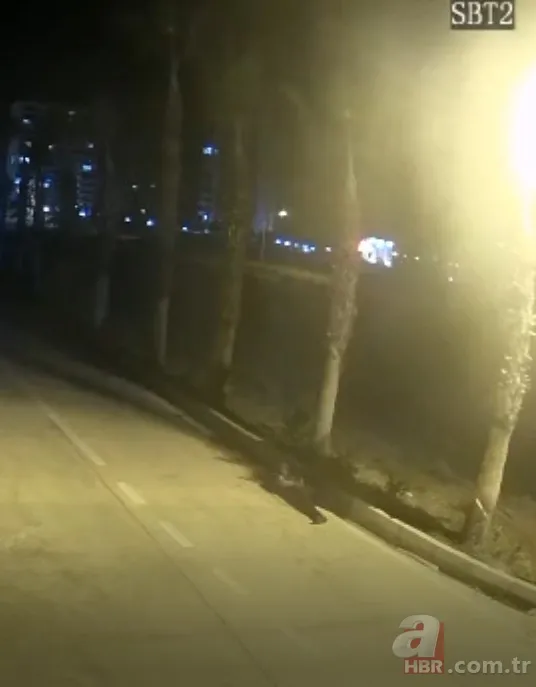 Şehit olmadan teröristi öldürdü: Polis Sedat Gezer PKK'lı hainlerle böyle çatıştı 12