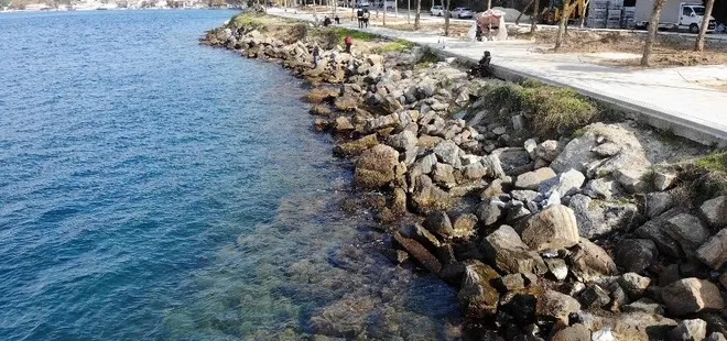 Beykoz’dan korkutan görüntü! Deniz çekildi