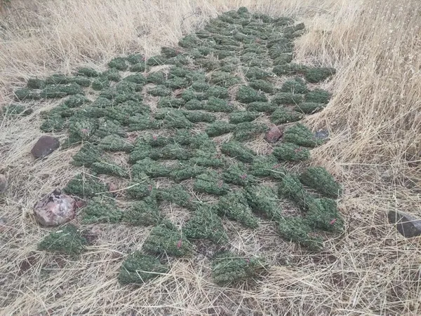 Terör örgütü PKK’nın finans kaynağına bir darbe daha