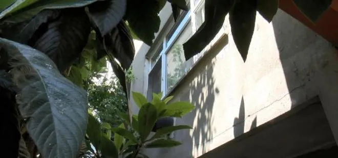 İstanbul’da evlat vahşeti: Anne ve babasını bıçakla öldürdü! Bahçede polisi bekledi