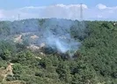 Ormanlık alanda yangın! Ekipler bölgede