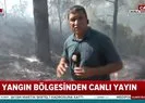 Muğla Marmariste orman yangını | Video