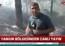 Muğla Marmariste orman yangını