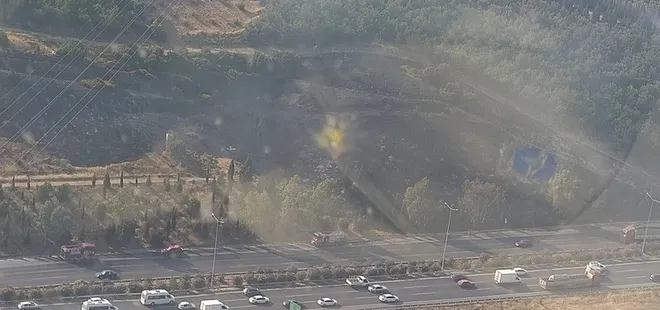 TIR'da başlayan yangın ormana sıçradı!
