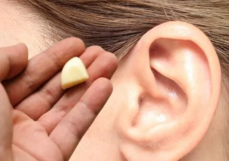 Bir diş sarımsağın muhteşem etkisi: Kulağınızda 30 dakika bekletirseniz...