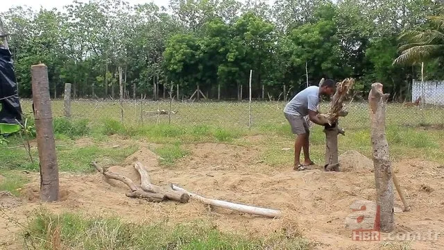 Öyle bir şey yaptı ki! Herkes hayran kaldı... 8