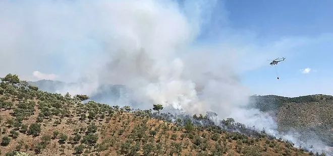 Son dakika: Muğla Milas'ta orman yangını çıktı | A Haber muhabiri son durumu aktardı