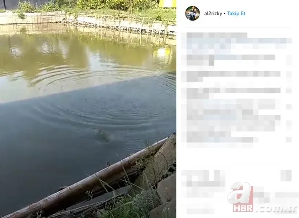 Öyle bir şey tuttu ki... Tam 27 kilo! Bakın ne yaptı? 11