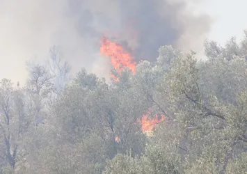 Son dakika: Antalya Kaş'ta makilik yangını