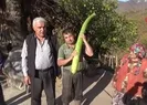 Bartın’da 170 santimetrelik kabak görenleri şaşkına çeviriyor