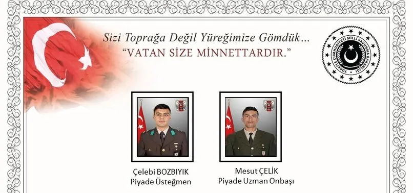 Barış Pınarı Harekatı'nda 2 asker şehit oldu