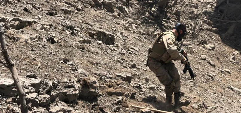 Son dakika: İçişleri Bakanı Süleyman Soylu duyurdu! Şırnak ve Diyarbakır'da 7 terörist etkisiz hale getirildi