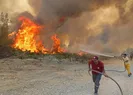 Manavgat yangınıyla ilgili yeni gelişme!