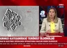 Mazlum Demir MİT ve TSK operasyonuyla etkisiz hale getirildi