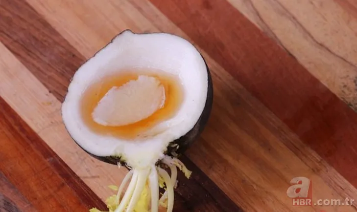 Öksürük ve bronşit için neler tüketilmeli? 7