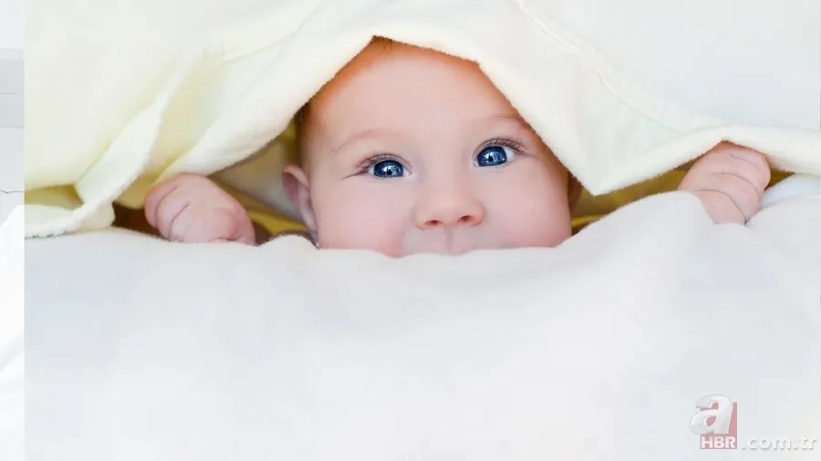 Türkiye’nin en nadir bebek isimleri: Sadece bir kişide var! İşte TÜİK'in o listesi 6