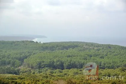 Orman Genel Müdürlüğü OGM 5 bin personel alımı ne zaman, başvuru şartları neler?