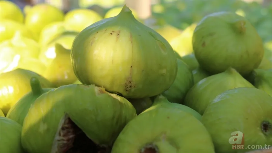 TasteAtlas açıkladı: Dünyanın en iyi inciri Ege’den çıktı 9