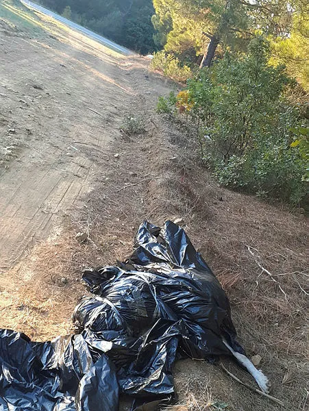 Edirne'de ormana atılmış çöp poşetinde ölmüş köpek bulundu - 3