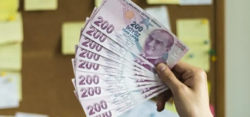 Buzağı destek ödemeleri ne zaman yatacak? Ekim - Kasım buzağı destek ödemeleri yattı mı 2022? Şehir listesi...