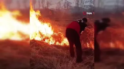 Sazlık alanda yangın!