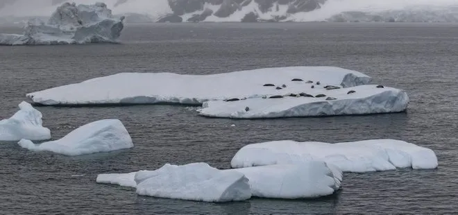 Kuzey ve Güney aynı anda eriyor! Kutuplarda sıcaklıklar 10 derece arttı: Olağan dışı bir olay