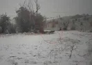 Yaralı yaban domuzu ve kurtlar...