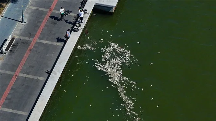 İzmir Körfezi için acil eylem planı: Bakanlık harekete geçti! | CHP’li başkan imza atmadı
