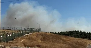 Urla’da orman yangını: Alevler kontrol altına alındı