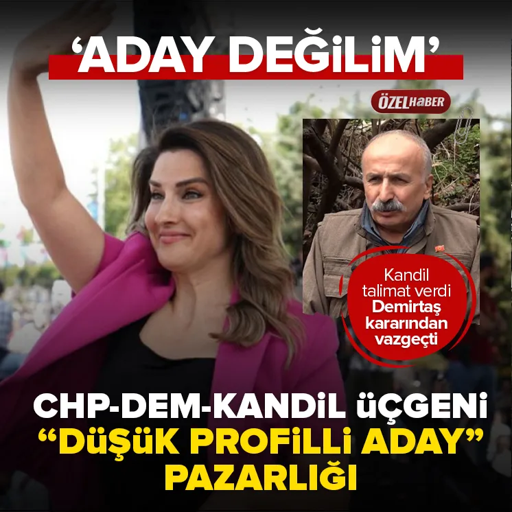 DEMde Başak Demirtaş aday olmuyor!