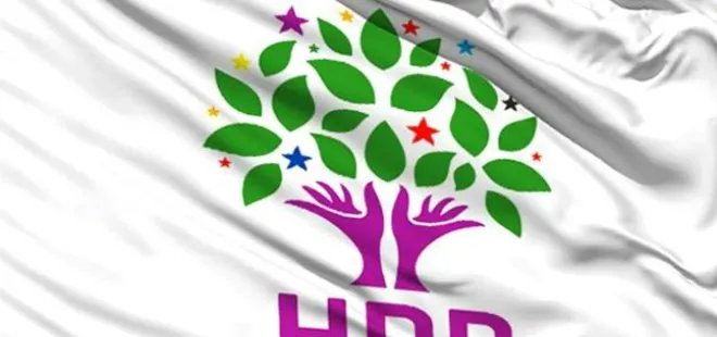 HDP Bingöl il eş başkanları tutuklandı