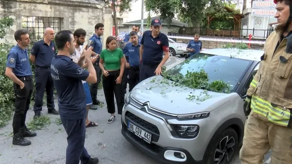 uskudarda-asirlik-agac-aracin-uzerine-devrildi-1658123037561.jpg Üsküdar’da asırlık ağaç aracın üzerine devrildi - 1