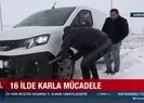 Yurttan manzaraları
