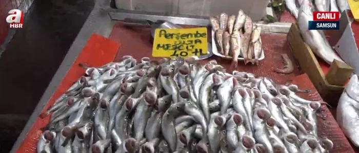 Son dakika: Hamsi Karadeniz'e geri döndü! Hamsinin fiyatı tezgahta ne kadar? - 4