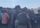 Gözler gökyüzünde! 1 lokma ekmeğin peşinde