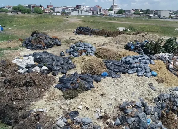 1622967181489.jpg İki mahalle hafriyat döküm alanına döndü! Vatandaşlar isyan etti: Paralı tesislerde bile bu kadar döküm yok - 3