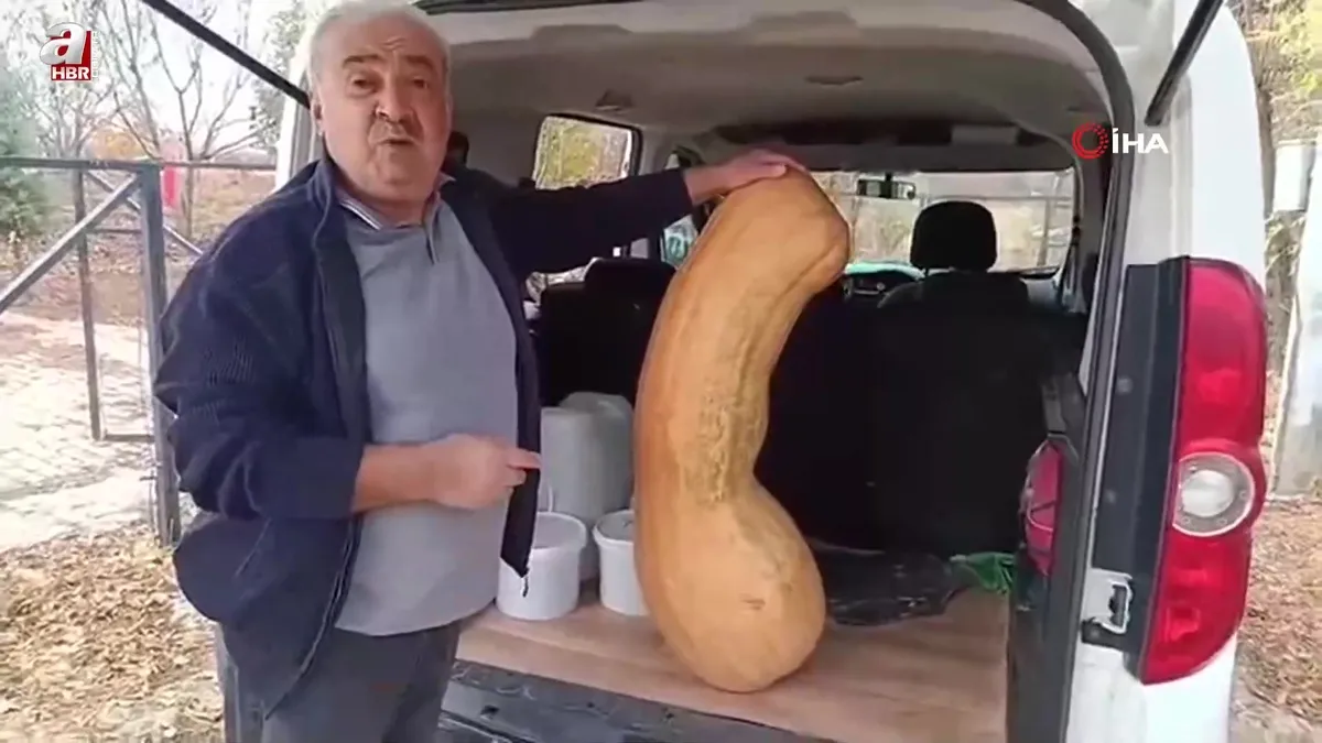 Bahçesinde yetiştirdi: Görenler hayrete düştü