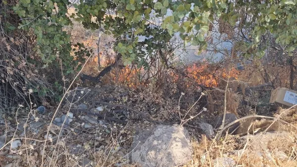 mugla-ve-bursada-korkutan-orman-yangini-1654517880774.jpg Muğla ve Bursa'da korkutan orman yangını - 6